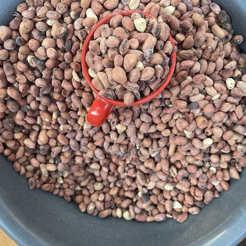 الفول السوداني