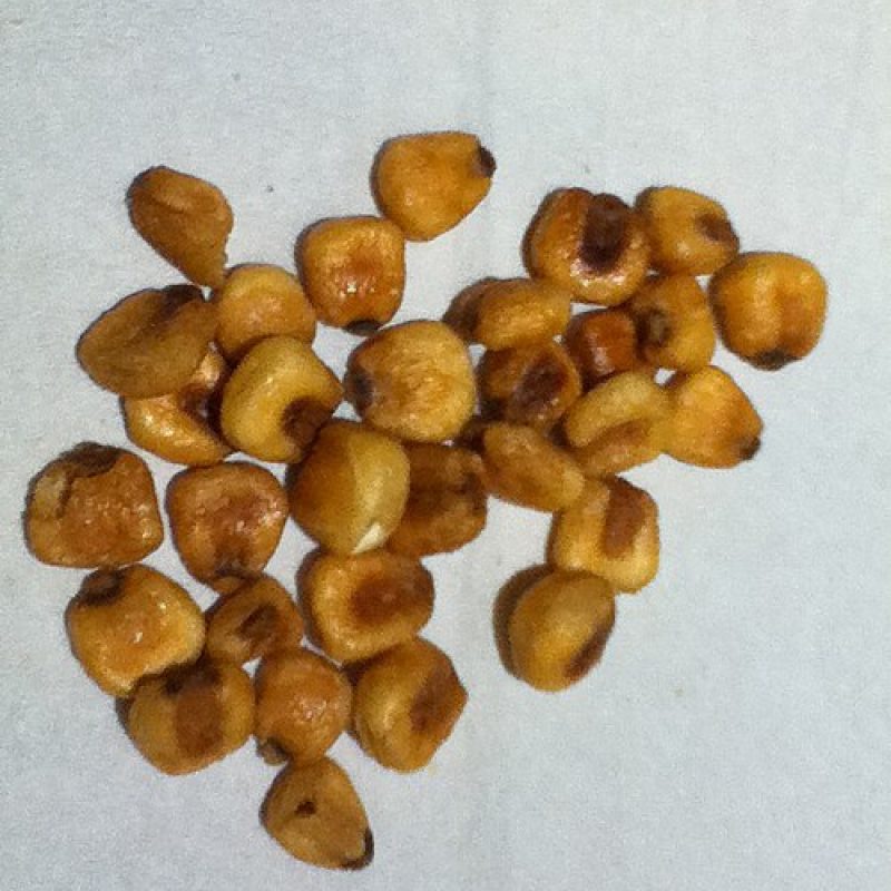 الذرة المحمصة (Corn Nuts)
